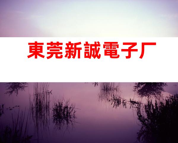 東莞新誠電子厂